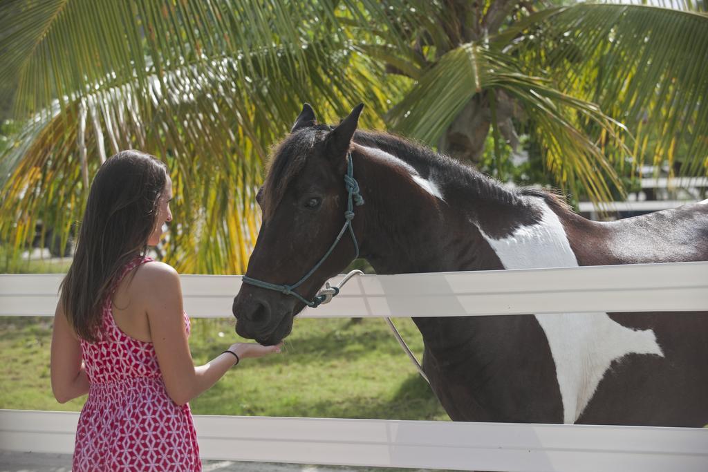 Biras Creek Resort Spanish Town Exteriér fotografie